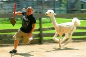 BEST OF THE WEEK #9 - Funniest Fails of the Week