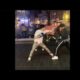 BEST STREET FIGHT COMPILATION 2025