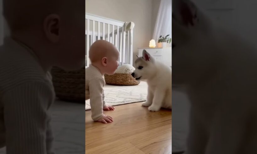 Baby Has the Cutest Conversation with a Puppy! | Adorable Baby and Dog Moment #PuppyTalk #ViralShort