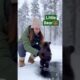 Baby bear rescued from -40 degree water hole in winter #rescue #helping #animals