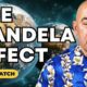 Bashar Reveals The REAL Cause of The Mandela Effect (Bashar Compilation)