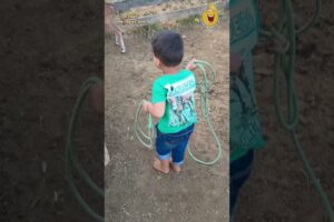 Best Fails of The Week: Funniest Fails Compilation:Funny Video part 2