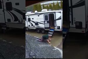 Best Fails of The Week： Funniest Fails Compilation： Funny Video ｜#bestfails #funfails #funnyvideos