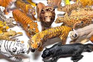 Big Cats & Wild Cats Collection - Lion Tiger Lynx Leopard Puma Leopard Cheetah Black Panther Lioness