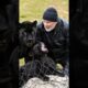 Black Jaguar asks a man to rescue its cub | Heartwarming Animal Rescue