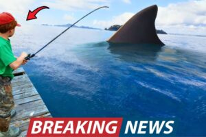 Boy’s Fishing Video From New Zealand Shocked Scientists and It Changes What We Know About Extinction