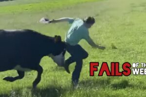 Brand-New LOL Mix 🤣 Fails of the Week Inside!