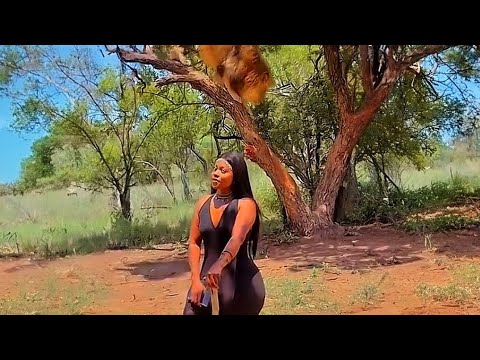 Crazy, Near Miss, and Close Call Moments 2025 [Pt. 17]