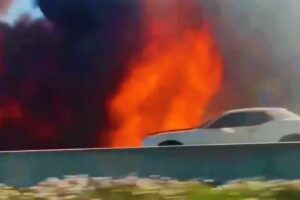 Crazy, Near, and Close Call Moments 2025 [Pt. 8]