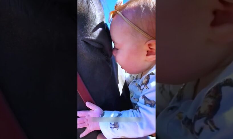 Cute Bond: Kid & Horse 🐎😍 #shorts