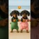Cute Puppies Dancing 😂🥰 #funnyshorts