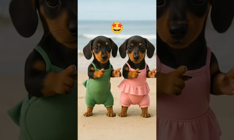 Cute Puppies Dancing 😂🥰 #funnyshorts