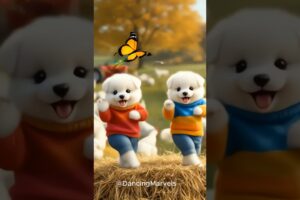 Cute Puppies Wearing Colorful Clothes Dancing