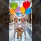 🎈 Cute Twin Babies with Balloons & Puppy | Heartwarming Baby & Dog Video 2025 🐶👶