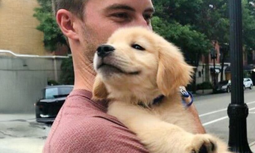 Dogs Who Totally Break a Man’s Heart at First Sight 😻 Cutest Puppies Videos Ever!
