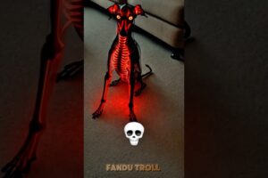 Dog's are always cute ☠️