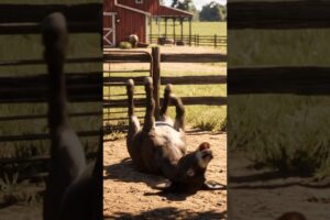 Donkey Playing Funny Falls #donkey #animals #funny