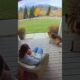 Doorbell Cam Captures Hero Dog Saving Baby from Mountain Lion! 🦁🐶