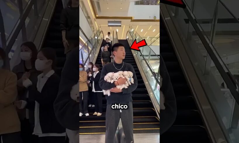 Él Regaló Los Perritos Más Tiernos 😍