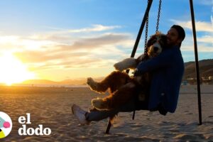 Este perro enorme hace todos los deportes extremos con su papá | El Dodo