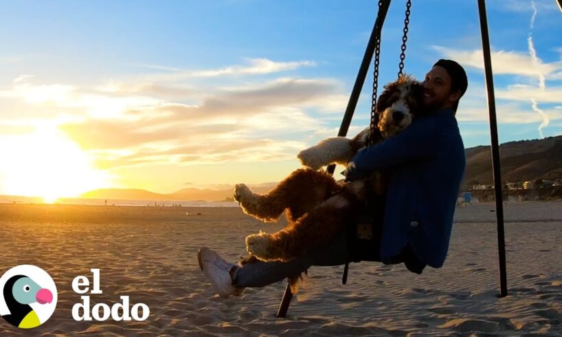 Este perro enorme hace todos los deportes extremos con su papá | El Dodo