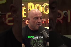 Exploring Near-Death Experiences: What Happens After Life