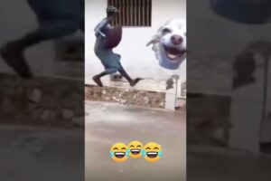 Fails of the week #youtubeshorts #funnyvideo