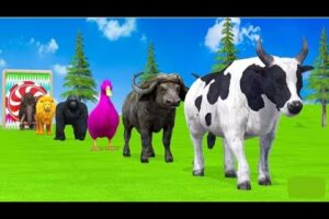 “Funny Animal Race Challenge 🐮🦁🦆 | Colorful Animals Playing in Water Slide | Animal Fountain Fun!”