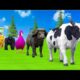 “Funny Animal Race Challenge 🐮🦁🦆 | Colorful Animals Playing in Water Slide | Animal Fountain Fun!”