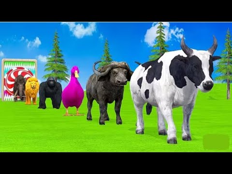 “Funny Animal Race Challenge 🐮🦁🦆 | Colorful Animals Playing in Water Slide | Animal Fountain Fun!”