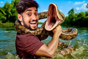 Giant Snake Rescue Mission Gone Wrong