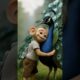 Give love get love ♥️| baby monkey kindness emotional #shorts #monkeyvideo #emotional #animallife