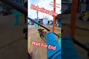 Goku Boy Amazing Dog Catch #dog #streetdogrevival #ytviral #goku #rescue