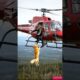 Golden Retriever alerts helicopter pilot of danger and saves his life #goldenretriever #dog #rescue