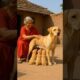 Grandma Saves Cute puppies #ai #save #guradianbaby