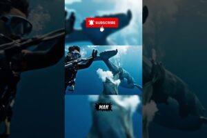 Heartwarming Animal Rescues That Will Restore Your Faith in Humanity 🐶❤️ #shorts #viral #trending