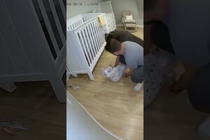Hero Dog Saves Baby from Danger: Heartwarming Rescue Caught on Camera! 🐶❤️ (Viral Story 2025)