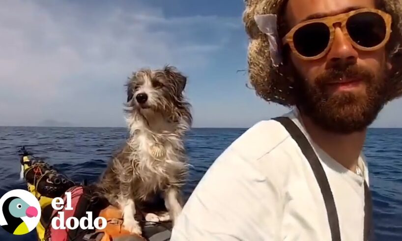 Hombre en kayak por el océano conoce a una perrita callejera | El Dodo