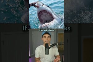 How To Survive Animal Attacks