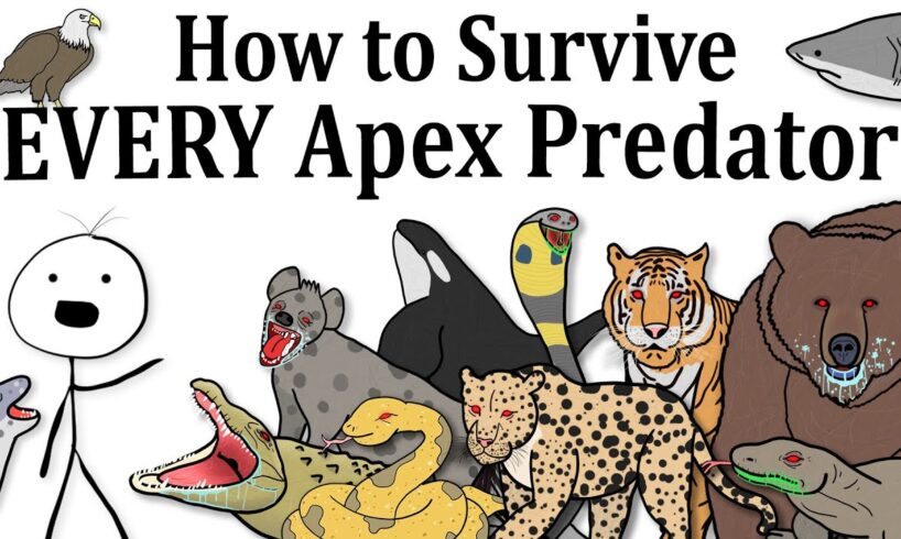 How to Survive Every Apex Predator