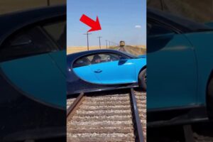 Incredible rescue: K9 dog prevents tragedy on the trails #dog #dogrescue #animals #bugatti