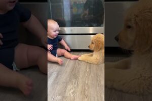 Just a baby loving on his puppy❤️ #baby #puppy #goldenretriever