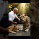 Kind man rescues mother lion from iron net