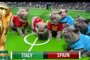 LETS UNLEASH CATS KITTENS WORLD CUP!