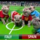 LETS UNLEASH CATS KITTENS WORLD CUP!