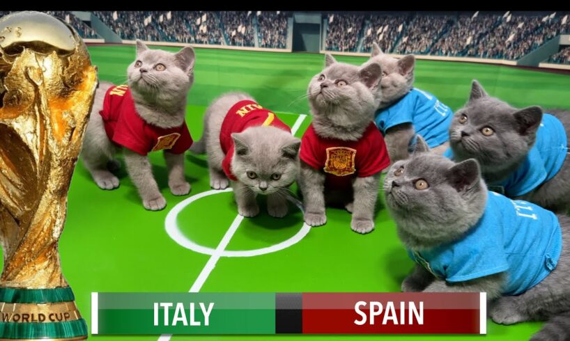 LETS UNLEASH CATS KITTENS WORLD CUP!