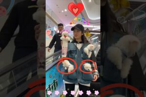 Look dear sister has lots of cute puppies. ❤️🥰❤️#shortvideo #viralvideo #trendingvideo