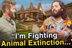 Meet the Billionaire That Built The World’s Largest Animal Rescue (Anant Ambani)
