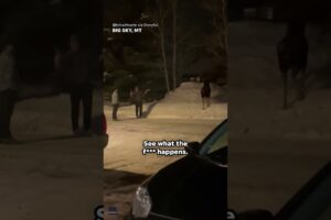 Moose charges at men who ignore repeated pleas to leave animal alone #Shorts