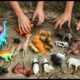 🌧️🦒 Mud Play Time! Wild Animals and Dinosaurs in Mud  Fun Learning for Kids